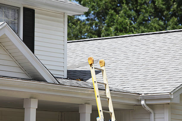 Best Storm Damage Siding Repair  in Hackleburg, AL